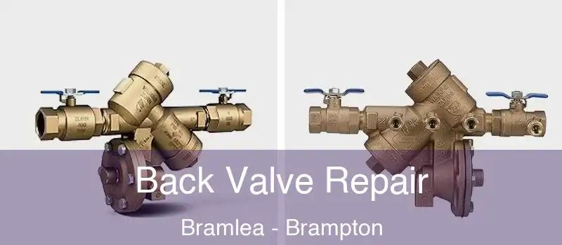 Back Valve Repair Bramlea - Brampton