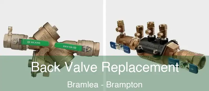  Back Valve Replacement Bramlea - Brampton