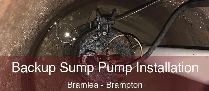  Backup Sump Pump Installation Bramlea - Brampton