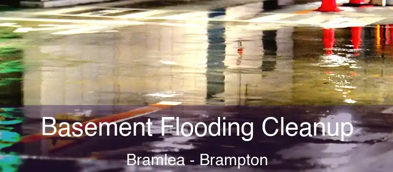  Basement Flooding Cleanup Bramlea - Brampton
