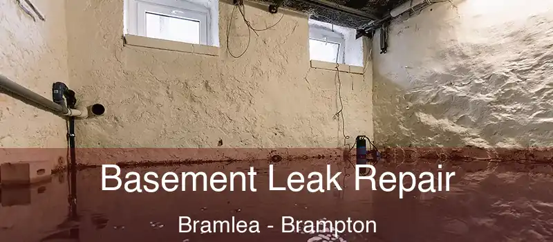  Basement Leak Repair Bramlea - Brampton