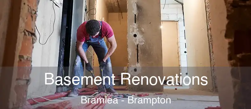  Basement Renovations Bramlea - Brampton