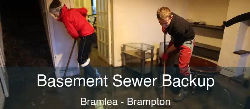  Basement Sewer Backup Bramlea - Brampton