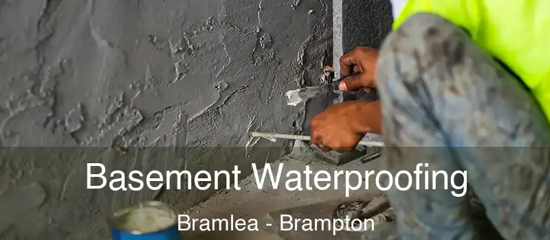 Basement Waterproofing Bramlea - Brampton