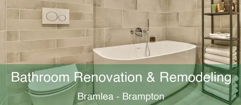  Bathroom Renovation & Remodeling Bramlea - Brampton