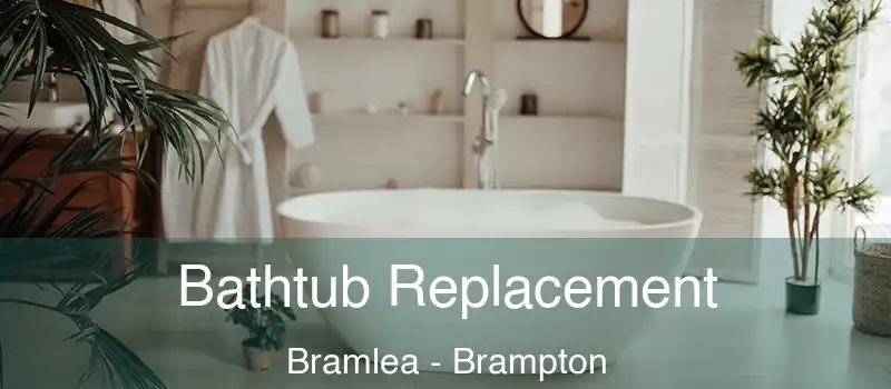  Bathtub Replacement Bramlea - Brampton