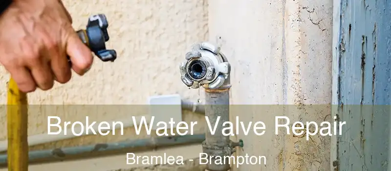  Broken Water Valve Repair Bramlea - Brampton