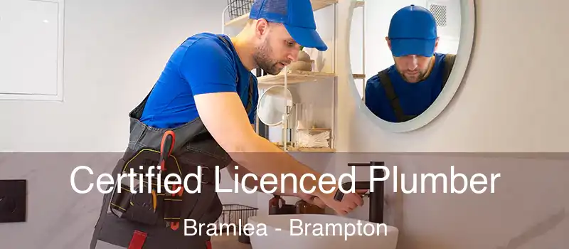  Certified Licenced Plumber Bramlea - Brampton