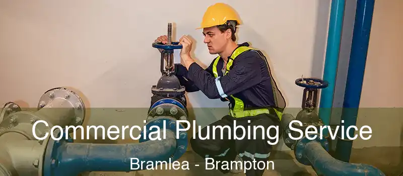  Commercial Plumbing Service Bramlea - Brampton