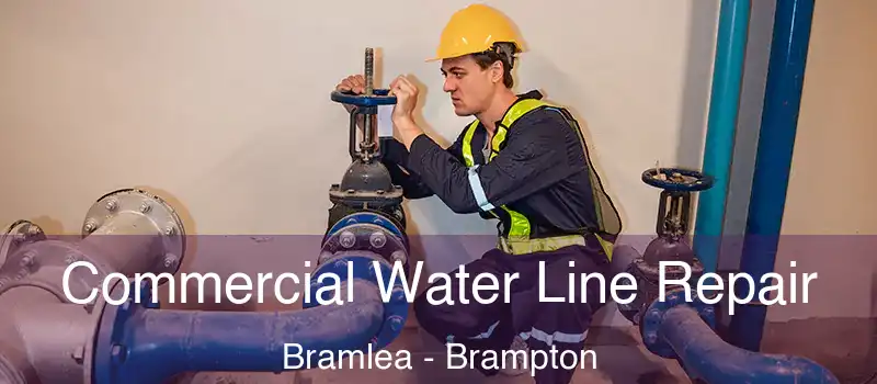  Commercial Water Line Repair Bramlea - Brampton