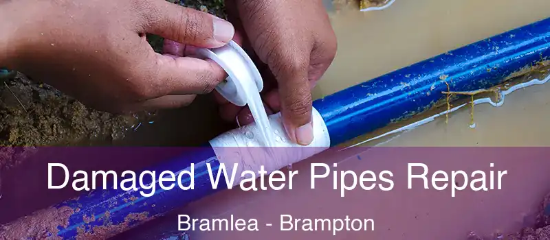  Damaged Water Pipes Repair Bramlea - Brampton