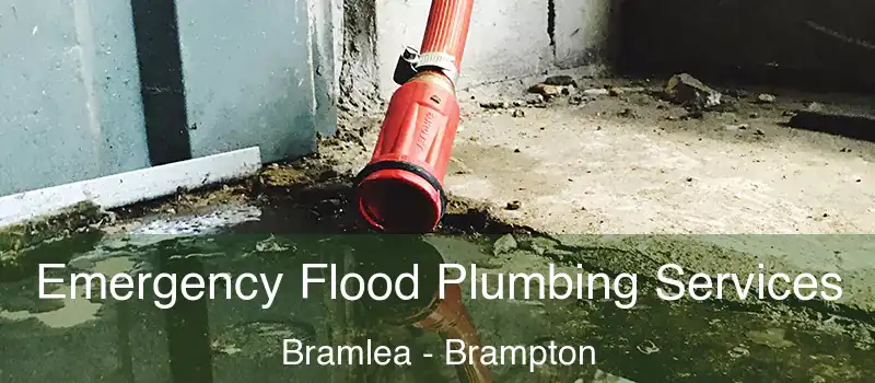  Emergency Flood Plumbing Services Bramlea - Brampton