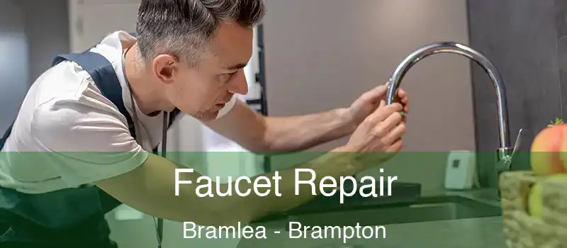  Faucet Repair Bramlea - Brampton