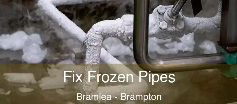  Fix Frozen Pipes Bramlea - Brampton
