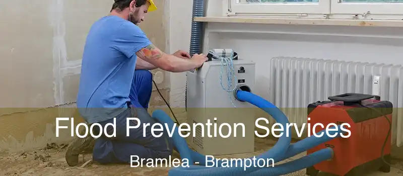  Flood Prevention Services Bramlea - Brampton