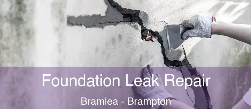  Foundation Leak Repair Bramlea - Brampton