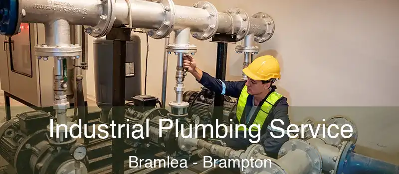  Industrial Plumbing Service Bramlea - Brampton