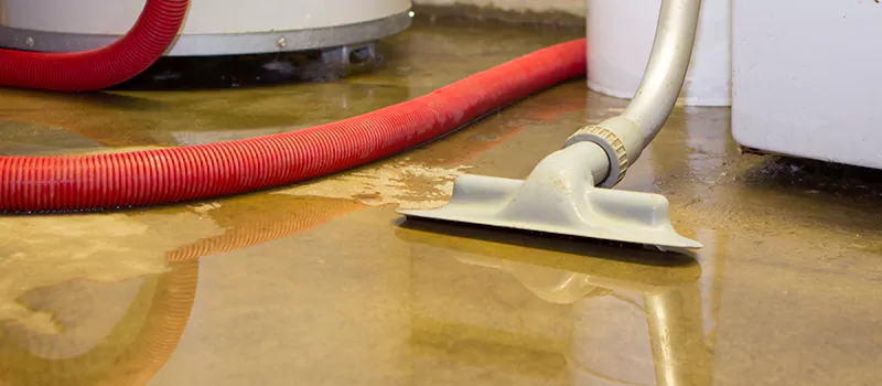 Professional Sewer Backup Cleanup Services in Bramlea, Brampton