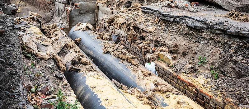 Commercial Sewer Tree Roots Damage Solutions in Bramlea, Brampton