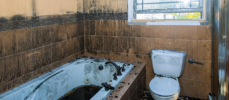 Residential Water Damage Restoration in Bramlea, Brampton