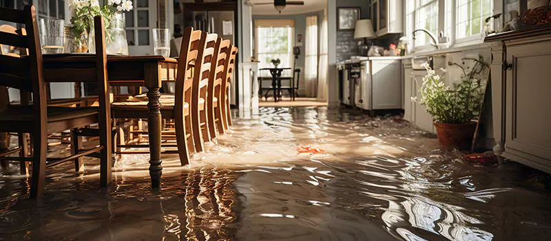 Flooded House Help Near Me in Bramlea, Brampton