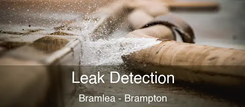  Leak Detection Bramlea - Brampton
