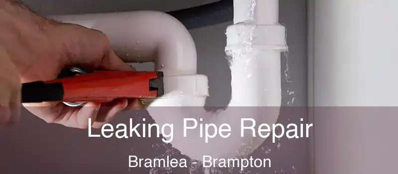  Leaking Pipe Repair Bramlea - Brampton