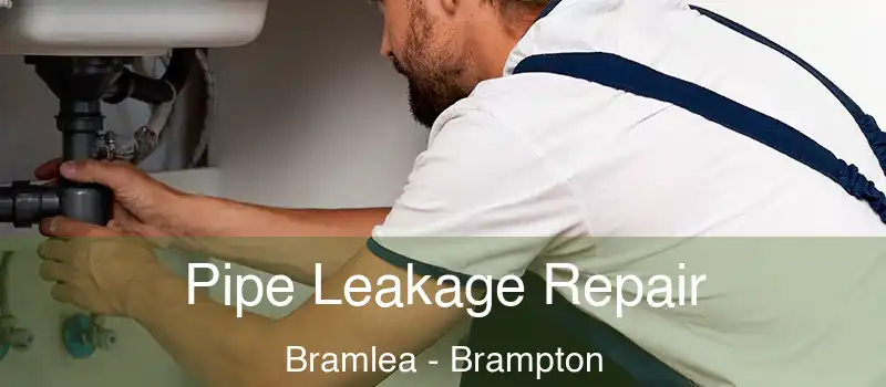  Pipe Leakage Repair Bramlea - Brampton