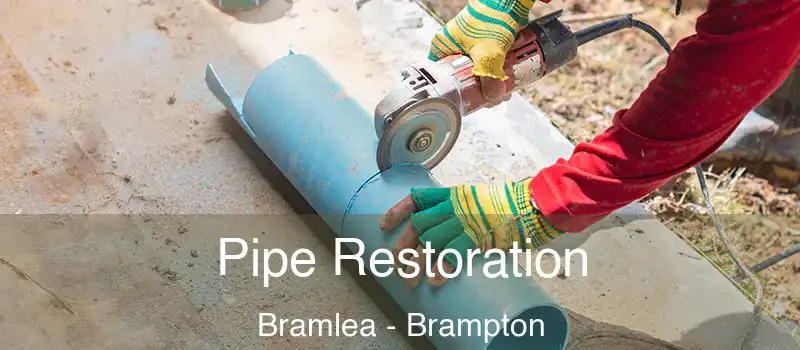  Pipe Restoration Bramlea - Brampton
