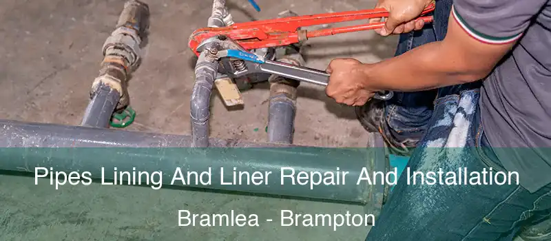  Pipes Lining And Liner Repair And Installation Bramlea - Brampton