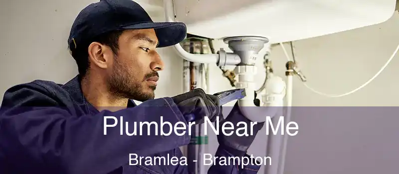  Plumber Near Me Bramlea - Brampton