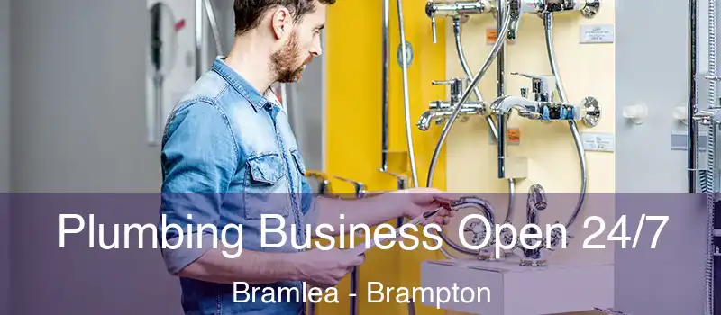  Plumbing Business Open 24/7 Bramlea - Brampton