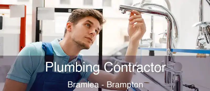  Plumbing Contractor Bramlea - Brampton