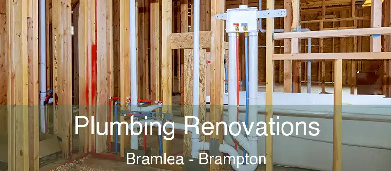  Plumbing Renovations Bramlea - Brampton