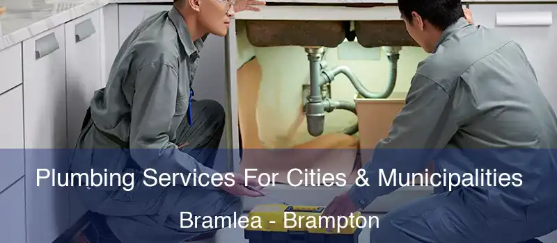  Plumbing Services For Cities & Municipalities Bramlea - Brampton