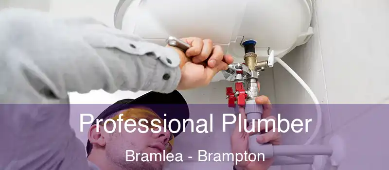  Professional Plumber Bramlea - Brampton