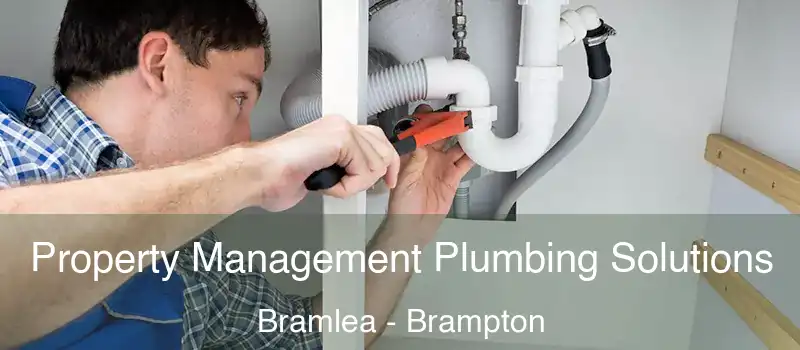  Property Management Plumbing Solutions Bramlea - Brampton