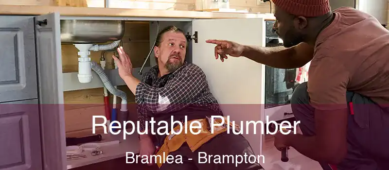  Reputable Plumber Bramlea - Brampton
