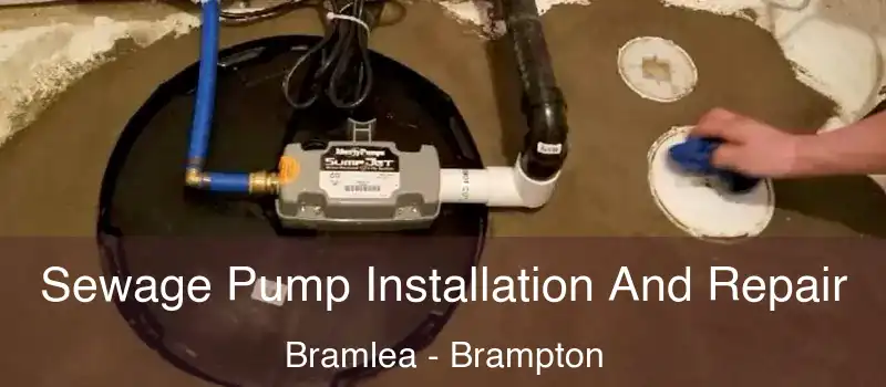  Sewage Pump Installation And Repair Bramlea - Brampton