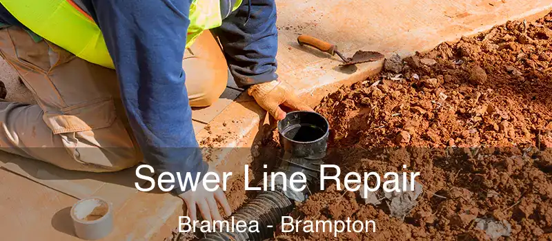  Sewer Line Repair Bramlea - Brampton