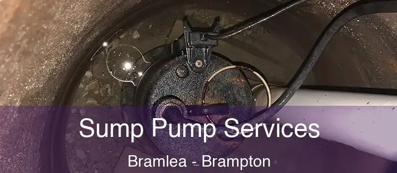  Sump Pump Services Bramlea - Brampton