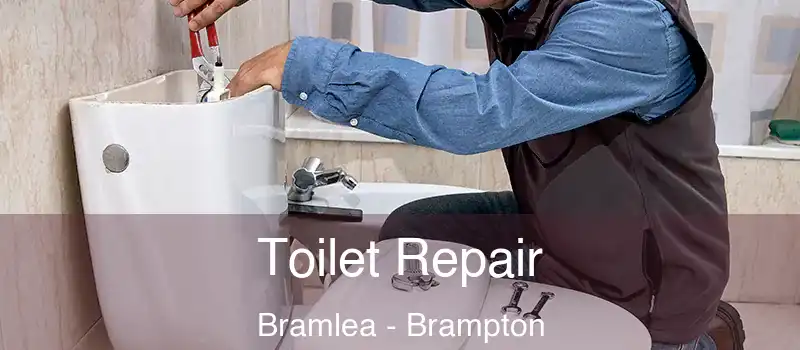  Toilet Repair Bramlea - Brampton