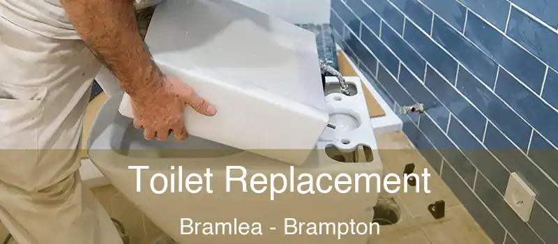  Toilet Replacement Bramlea - Brampton