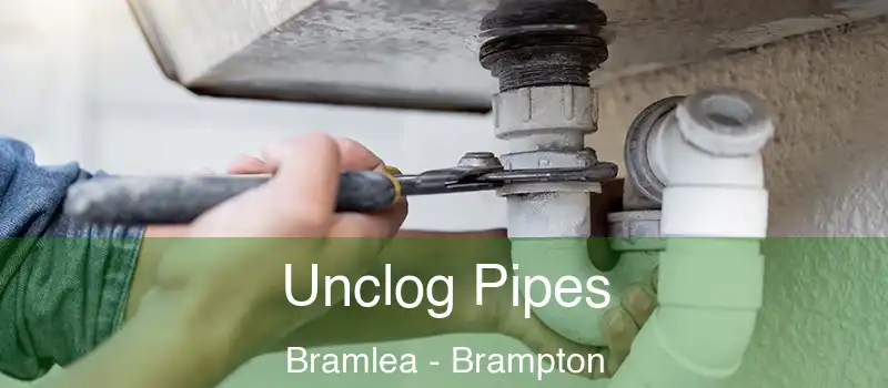  Unclog Pipes Bramlea - Brampton