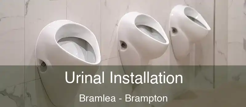  Urinal Installation Bramlea - Brampton