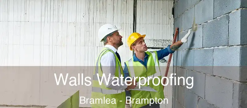  Walls Waterproofing Bramlea - Brampton