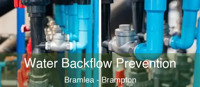  Water Backflow Prevention Bramlea - Brampton