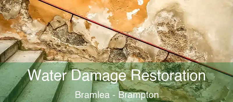  Water Damage Restoration Bramlea - Brampton