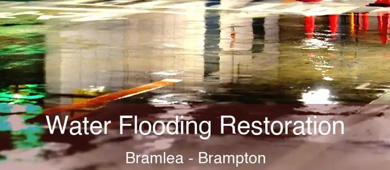  Water Flooding Restoration Bramlea - Brampton