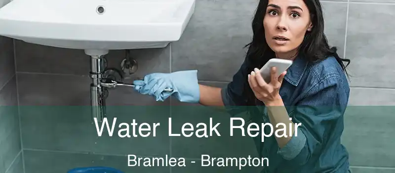  Water Leak Repair Bramlea - Brampton
